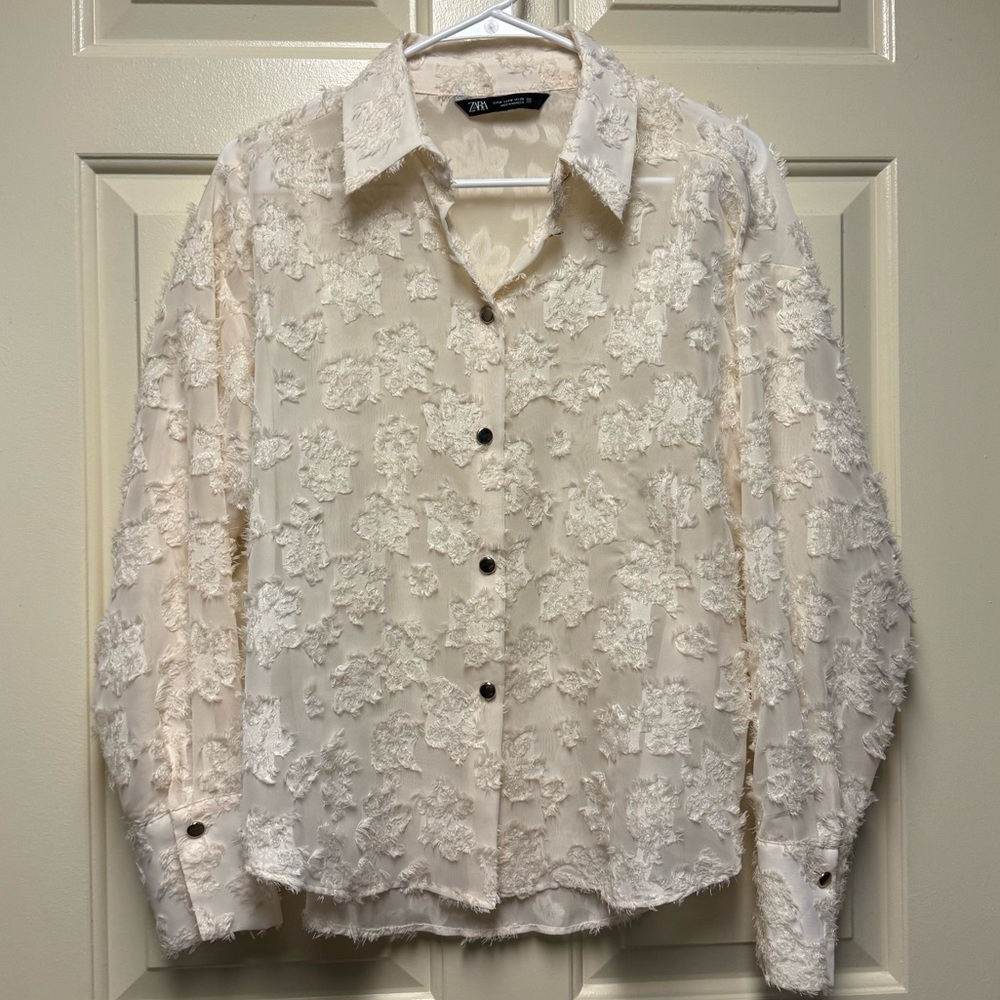 Zara sheer blouse